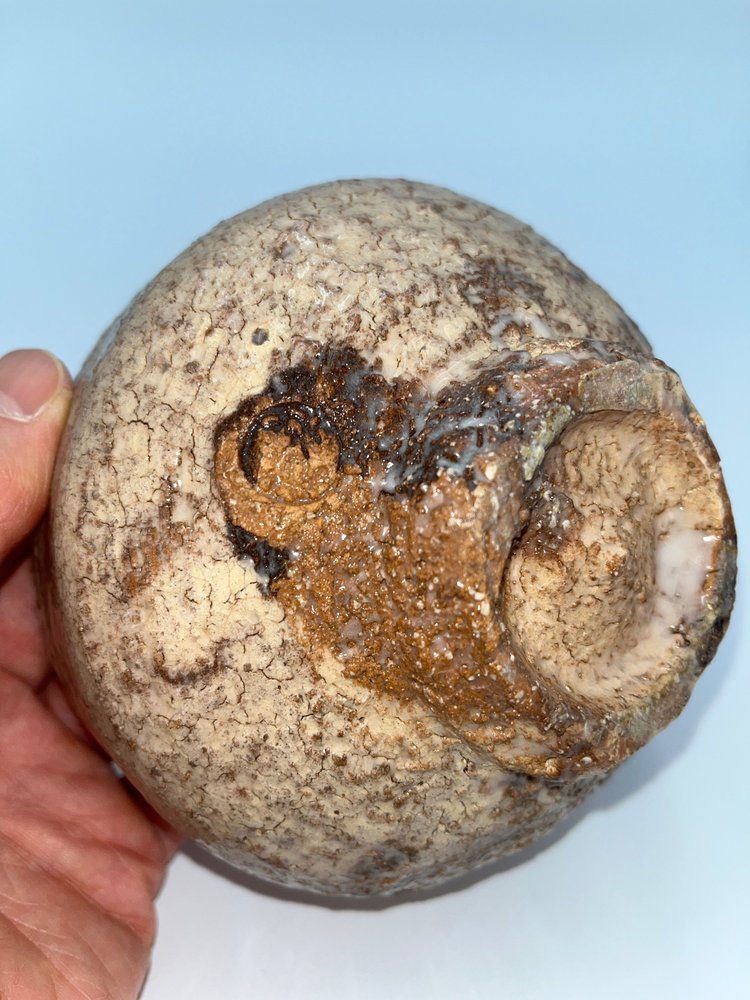 Hagi Chawan with Yohen effect by Yoshida Shuen (1941 - 1987